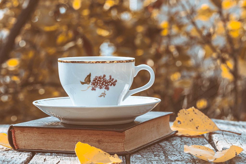 a cup of tea sitting on a book in the foreground of autumn leaves